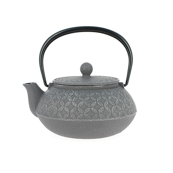 Japanese cast iron teapot