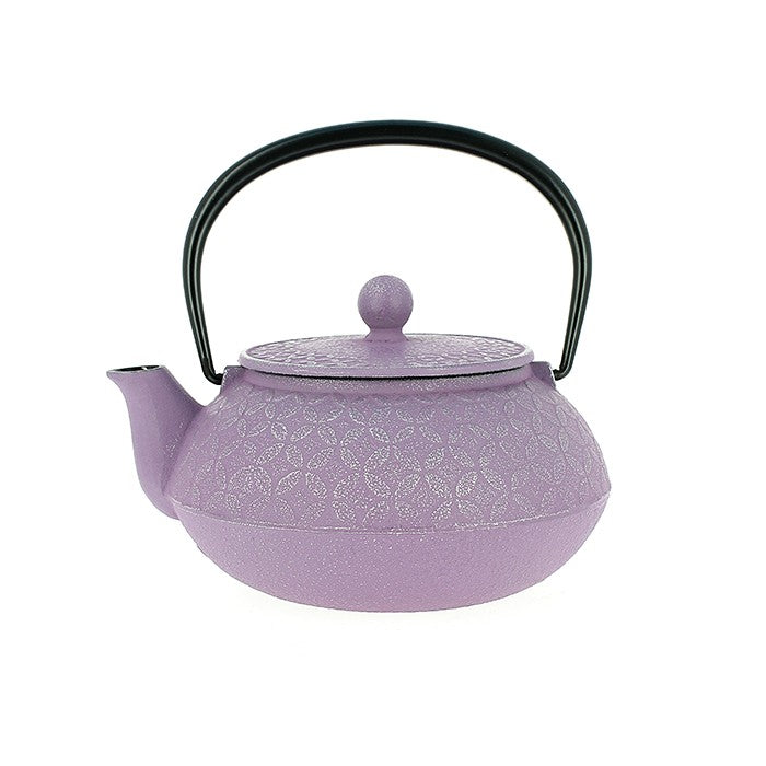 Japanese cast iron teapot